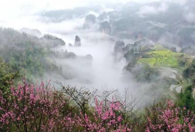 候鳥的選擇，彰顯湖南生態(tài)系統(tǒng)持續(xù)優(yōu)化